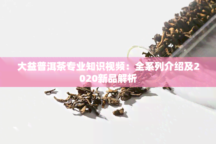 大益普洱茶专业知识视频：全系列介绍及2020新品解析