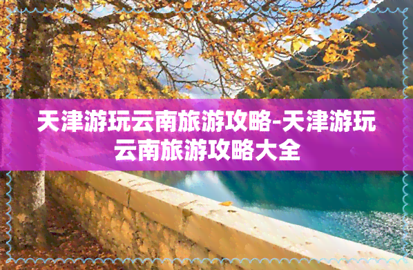 天津游玩云南旅游攻略-天津游玩云南旅游攻略大全