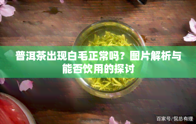 普洱茶出现白毛正常吗？图片解析与能否饮用的探讨