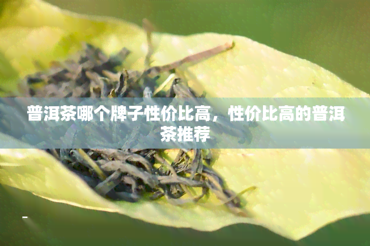 普洱茶哪个牌子性价比高，性价比高的普洱茶推荐