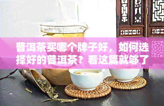 普洱茶买哪个牌子好，如何选择好的普洱茶？看这篇就够了！