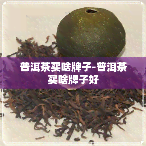 普洱茶买啥牌子-普洱茶买啥牌子好