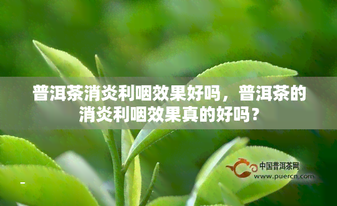 普洱茶消炎利咽效果好吗，普洱茶的消炎利咽效果真的好吗？