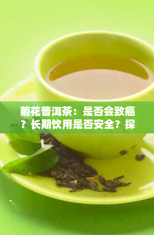 菊花普洱茶：是否会致癌？长期饮用是否安全？探讨其对身体的好处