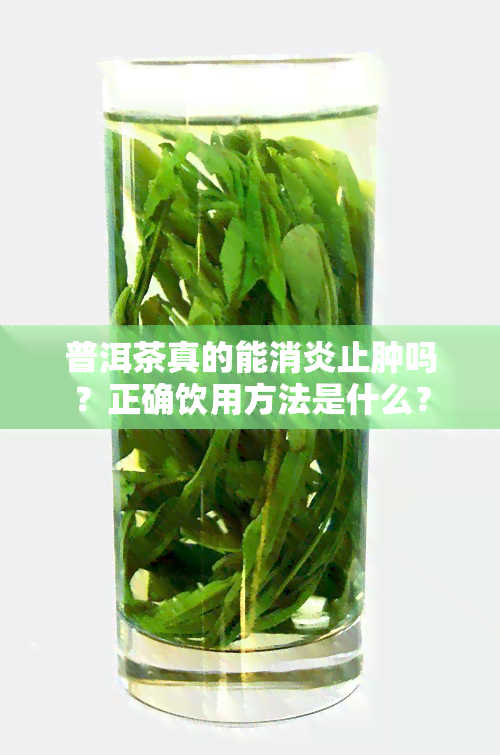 普洱茶真的能消炎止肿吗？正确饮用方法是什么？