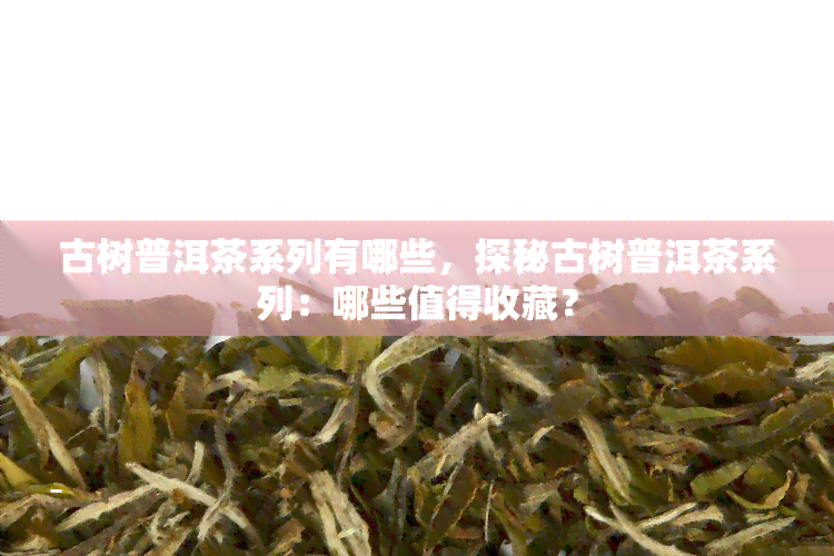 古树普洱茶系列有哪些，探秘古树普洱茶系列：哪些值得收藏？