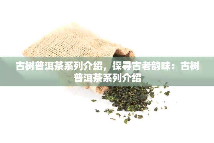 古树普洱茶系列介绍，探寻古老韵味：古树普洱茶系列介绍