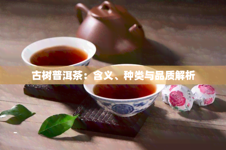 古树普洱茶：含义、种类与品质解析