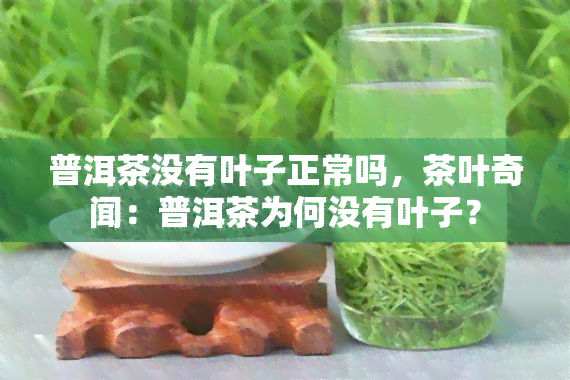 普洱茶没有叶子正常吗，茶叶奇闻：普洱茶为何没有叶子？