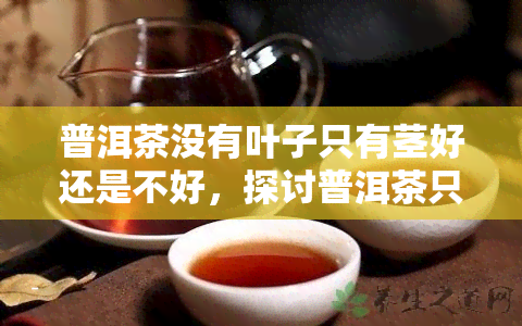 普洱茶没有叶子只有茎好还是不好，探讨普洱茶只含茎叶的好处与坏处