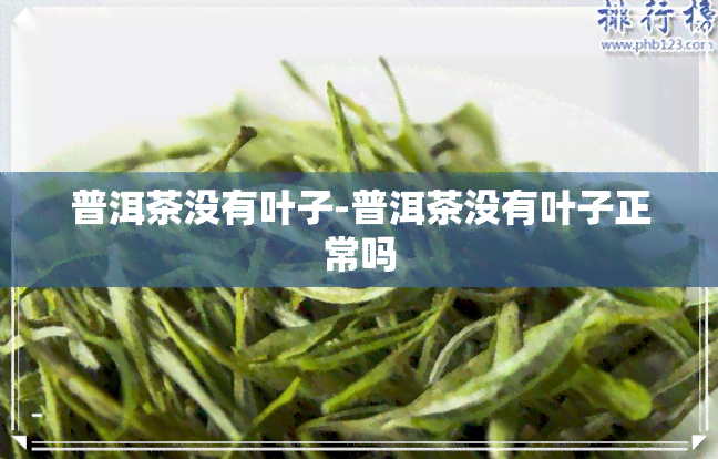 普洱茶没有叶子-普洱茶没有叶子正常吗