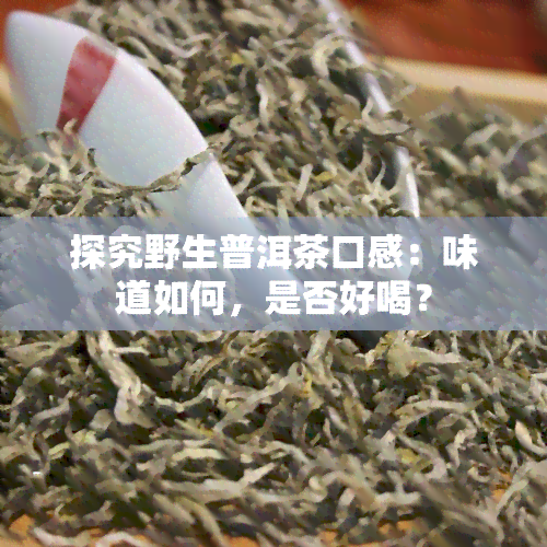 探究野生普洱茶口感：味道如何，是否好喝？