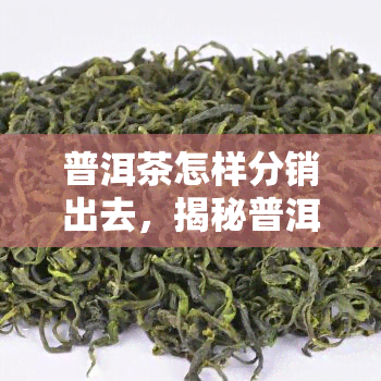 普洱茶怎样分销出去，揭秘普洱茶的分销策略，让你的产品畅销无阻！