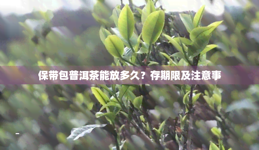 保带包普洱茶能放多久？存期限及注意事