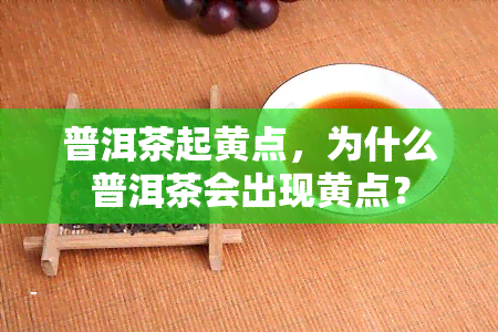 普洱茶起黄点，为什么普洱茶会出现黄点？