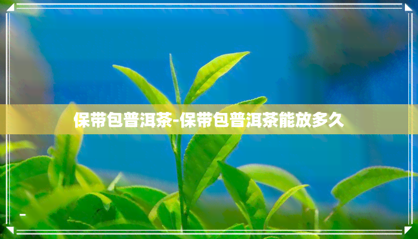 保带包普洱茶-保带包普洱茶能放多久