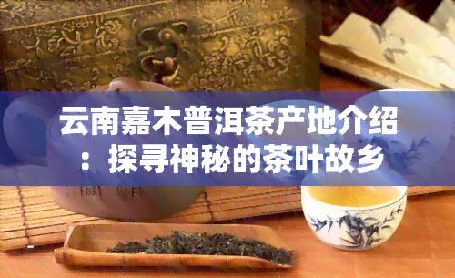 云南嘉木普洱茶产地介绍：探寻神秘的茶叶故乡