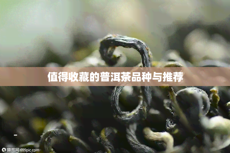 值得收藏的普洱茶品种与推荐