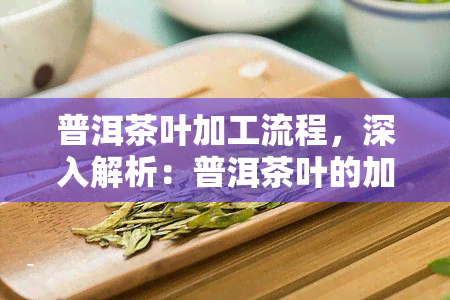 普洱茶叶加工流程，深入解析：普洱茶叶的加工流程