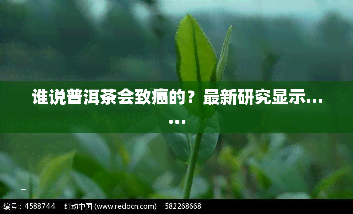 谁说普洱茶会致癌的？最新研究显示……