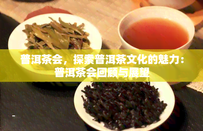 普洱茶会，探索普洱茶文化的魅力：普洱茶会回顾与展望