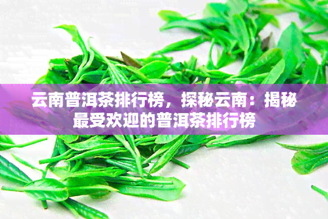 云南普洱茶排行榜，探秘云南：揭秘更受欢迎的普洱茶排行榜