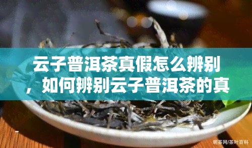 云子普洱茶真假怎么辨别，如何辨别云子普洱茶的真伪？