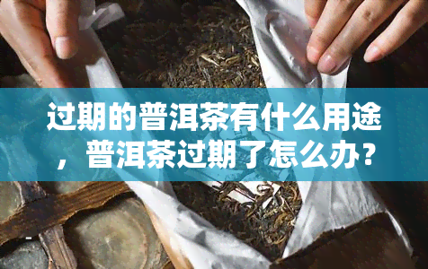 过期的普洱茶有什么用途，普洱茶过期了怎么办？这些新奇用途你一定没想到！