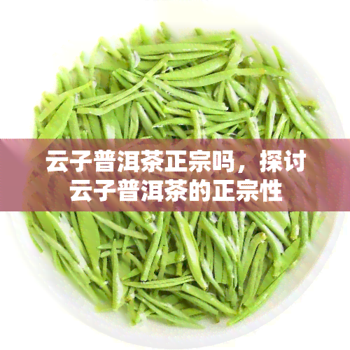 云子普洱茶正宗吗，探讨云子普洱茶的正宗性