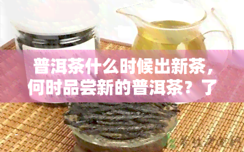 普洱茶什么时候出新茶，何时品尝新的普洱茶？了解出新茶的时间表！