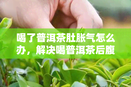 喝了普洱茶肚胀气怎么办，解决喝普洱茶后腹胀问题的有效方法