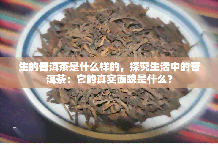 生的普洱茶是什么样的，探究生活中的普洱茶：它的真实面貌是什么？