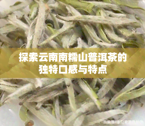 探索云南南糯山普洱茶的独特口感与特点