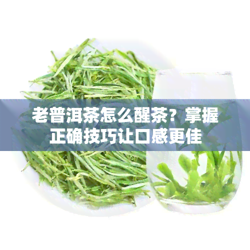 老普洱茶怎么醒茶？掌握正确技巧让口感更佳