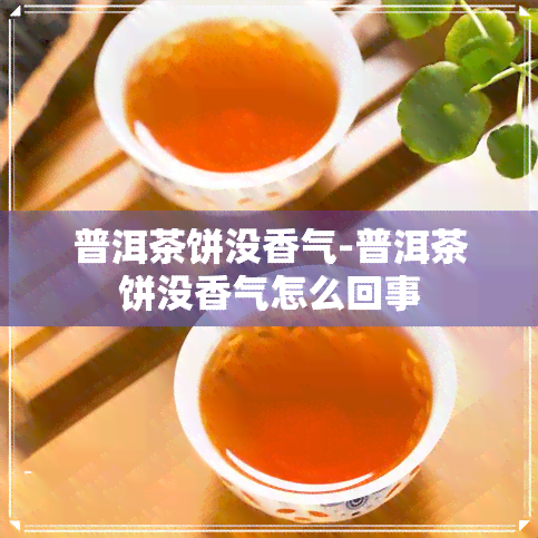 普洱茶饼没香气-普洱茶饼没香气怎么回事