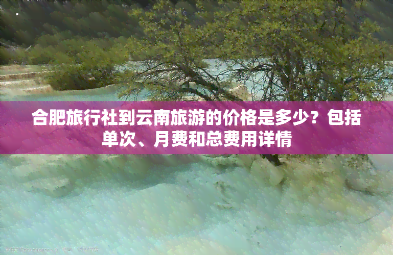 合肥旅行社到云南旅游的价格是多少？包括单次、月费和总费用详情