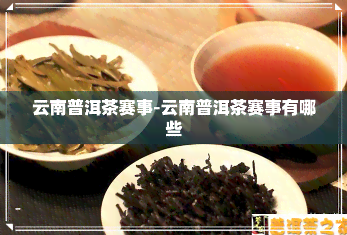 云南普洱茶赛事-云南普洱茶赛事有哪些