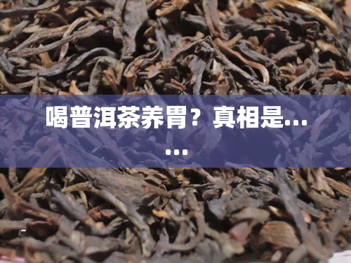 喝普洱茶养胃？真相是……