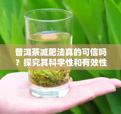 普洱茶减肥法真的可信吗？探究其科学性和有效性