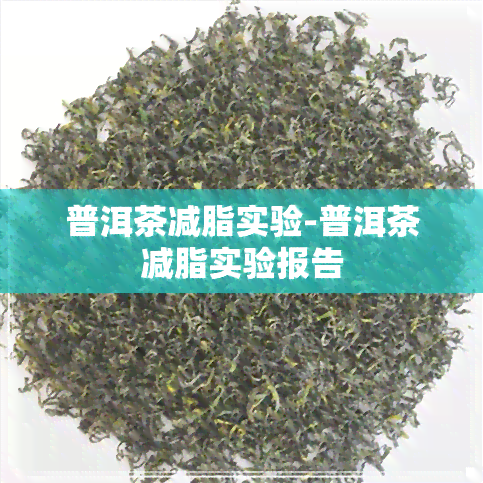 普洱茶减脂实验-普洱茶减脂实验报告