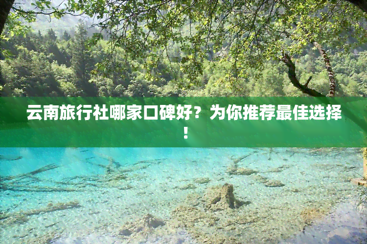 云南旅行社哪家口碑好？为你推荐更佳选择！