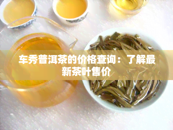 车秀普洱茶的价格查询：了解最新茶叶售价