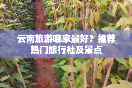 云南旅游哪家更好？推荐热门旅行社及景点