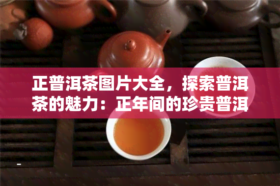 正普洱茶图片大全，探索普洱茶的魅力：正年间的珍贵普洱茶图片大全