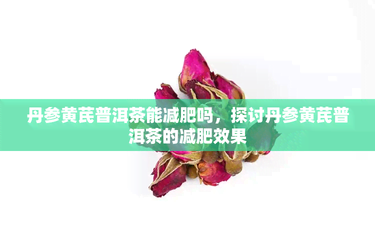 丹参黄芪普洱茶能减肥吗，探讨丹参黄芪普洱茶的减肥效果