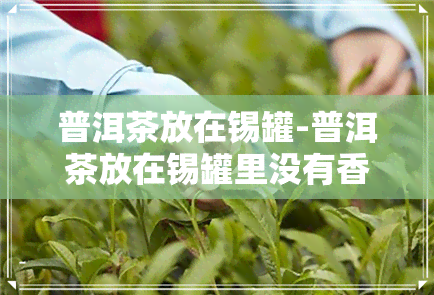 普洱茶放在锡罐-普洱茶放在锡罐里没有香气怎么回事