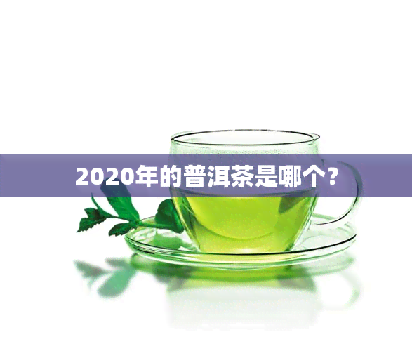 2020年的普洱茶是哪个？