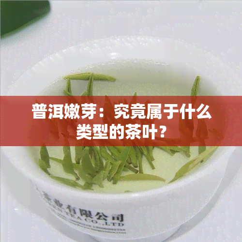 普洱嫩芽：究竟属于什么类型的茶叶？