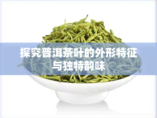 探究普洱茶叶的外形特征与独特韵味