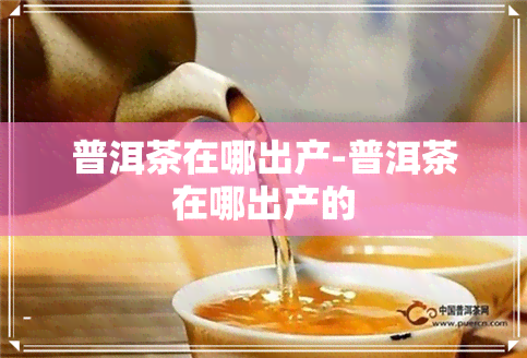 普洱茶在哪出产-普洱茶在哪出产的